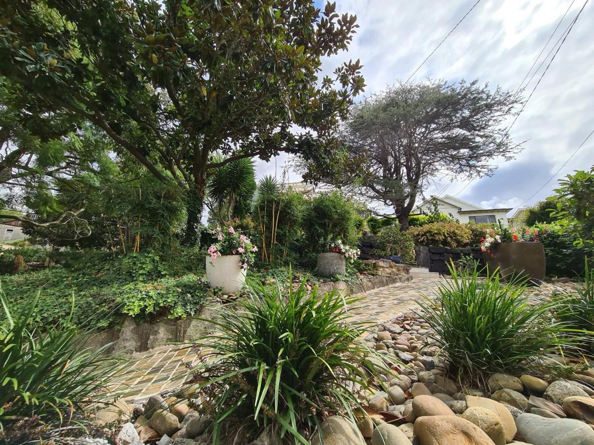 Bamboo House, Close To The City & Airport & Train Station And Brighton Le Sands Beach Σίδνεϊ Εξωτερικό φωτογραφία